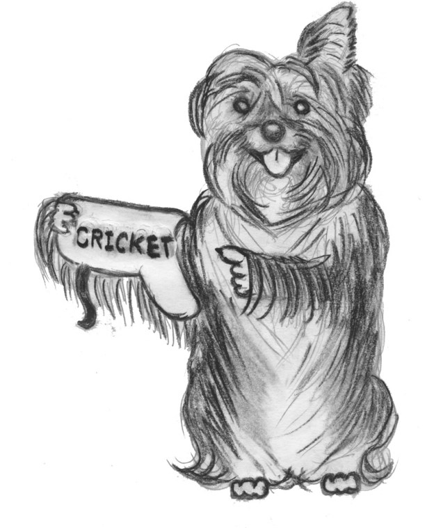 Cricket the Dog